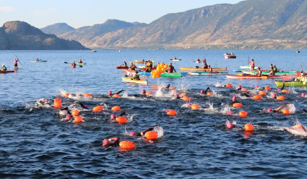 swim buddy open water swim